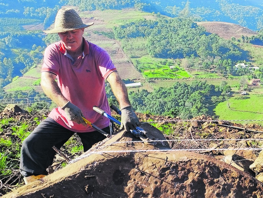 Produtor de uvas da serra Gaúcha refaz estrutura após parreiral ter sido destruído por deslizamentos de terra