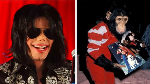 Atriz revela que foi mordida por chimpanzé de Michael Jackson na infância: 'Tenho a cicatriz'