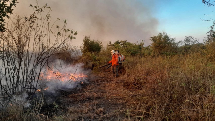 Brigada Alto Pantanal atua para reduzir incêndio em Paraguai-Mirim — Foto: IHP (Instituto Homem Pantaneiro)