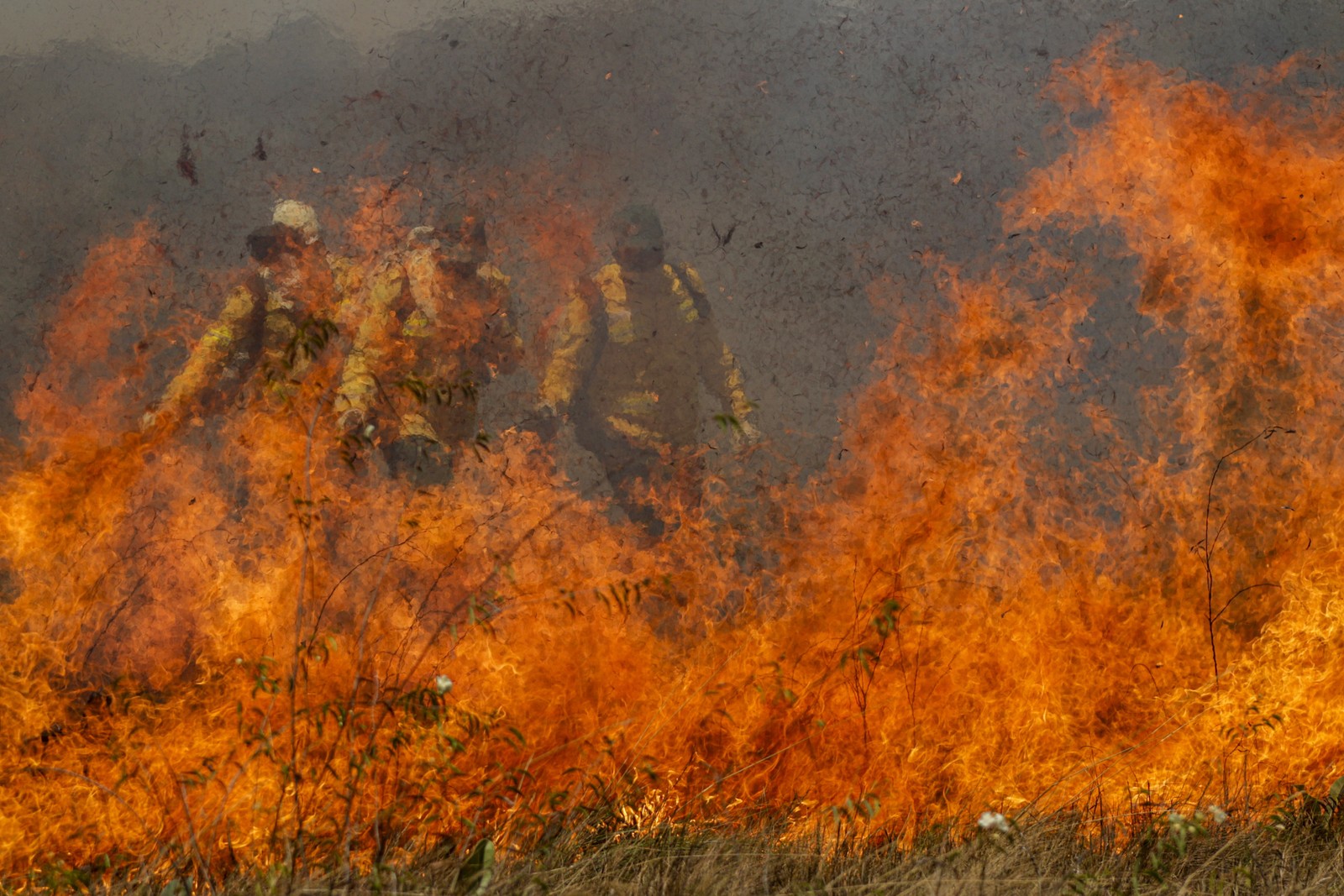 Incêndios castigam o Pantanal — Foto: Joédson Alves/Agência Brasil