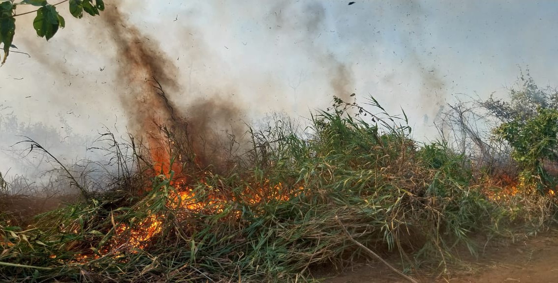 Combate a incêndio na região do Paraguai-mirim, fica há cerca de 2h30 por embarcação rio Paraguai acima, saindo de Corumbá (MS) — Foto: Brigada Alto Pantanal / IHP