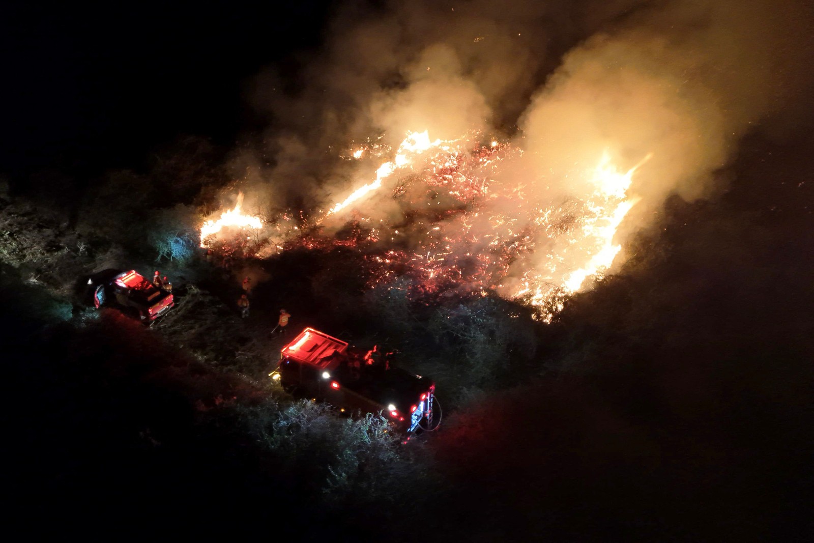 Foto divulgada pelo Corpo de Bombeiros de Mato Grosso do Sul mostra bombeiros fiscalizando uma área queimada por um incêndio florestal no Bioma Pantanal, Região Abobral, localizado na cidade de Corumbá, no estado de Mato Grosso do Sul — Foto: Handout / MATO GROSSO FIREFIGHTERS DEPARTMENT / AFP