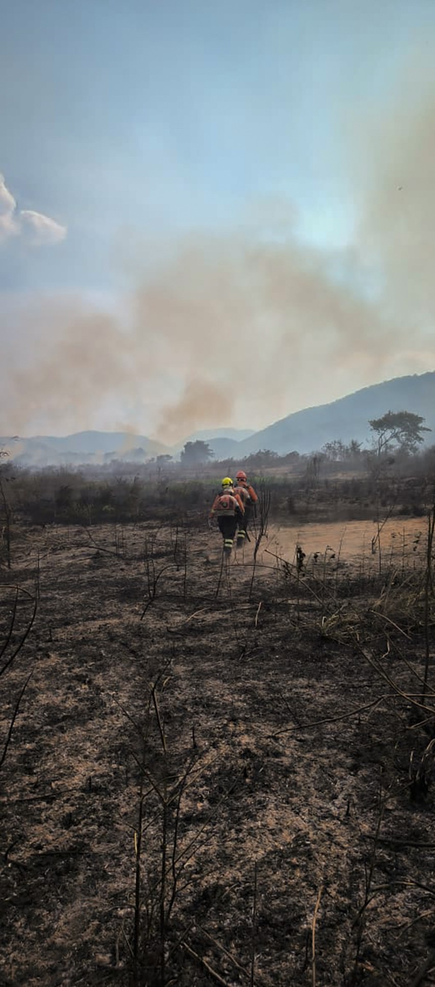 Incêndio já destruiu mais de 1,5 mil hectares de vegetação nativa da Serra do Amolar, local considerado um santuário de biodiversidade no Pantanal. Por ser uma das regiões mais preservadas do Pantanal, brigadistas demoram cerca de 5 horas para acessar local das chamas. — Foto: Corpo de Bombeiros MS