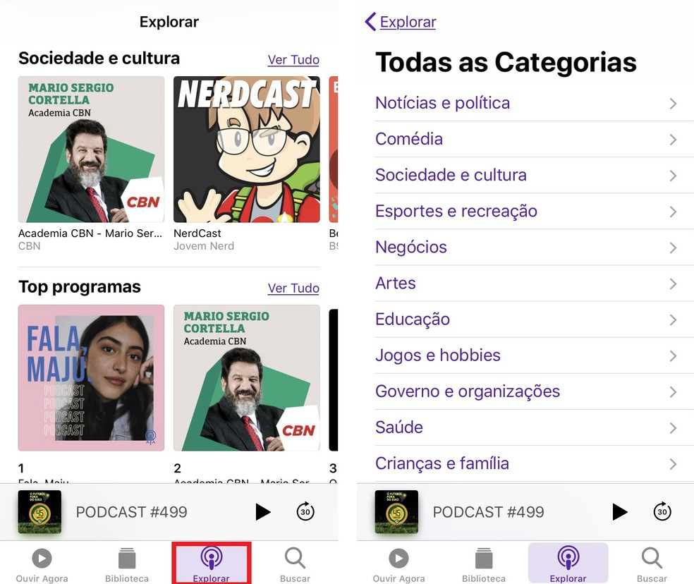 Apple Podcasts organiza podcasts por categoria — Foto: Reprodução/Rodrigo Fernandes