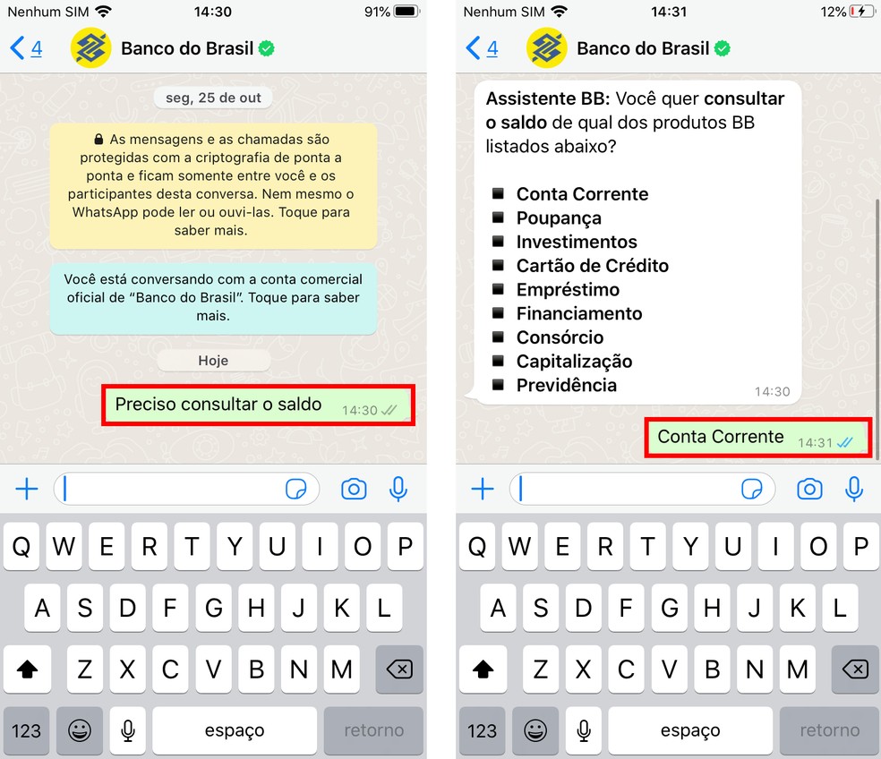 Banco do Brasil conta corrente: saldo pode ser consultado rapidamente pelo WhatsApp oficial do banco — Foto: Reprodução/Rodrigo Fernandes