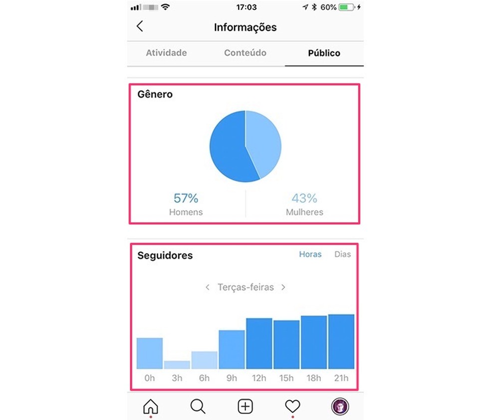 Métricas sobre gênero e número de seguidores em uma página empresarial do Instagram — Foto: Reprodução/Marvin Costa