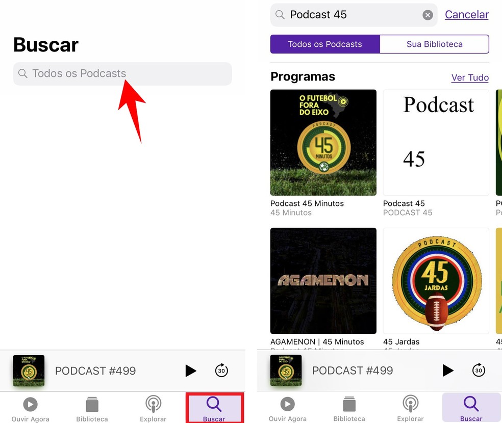 É possível encontrar podcasts no aplicativo da Apple usando a ferramenta de busca — Foto: Reprodução/Rodrigo Fernandes