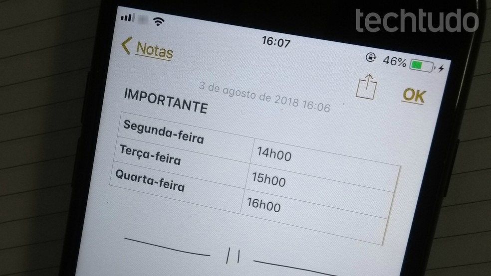 Aplicativo Notas do iPhone tem recursos que deixam anotações mais elaboradas — Foto: Rodrigo Fernandes/TechTudo