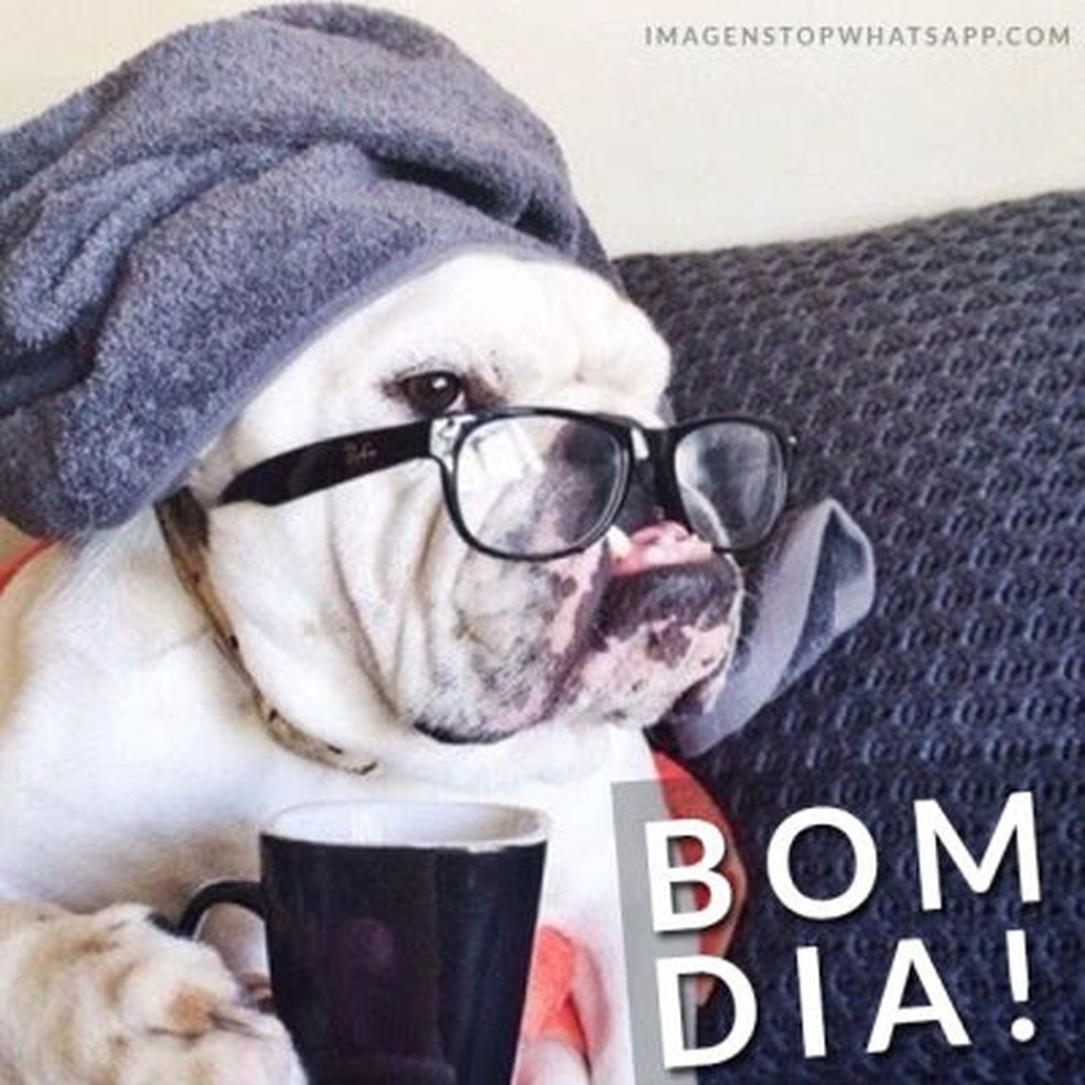 Mensagem de bom dia para WhatsApp — Foto: Reprodução/Bom dia, Boa tarde Boa noite