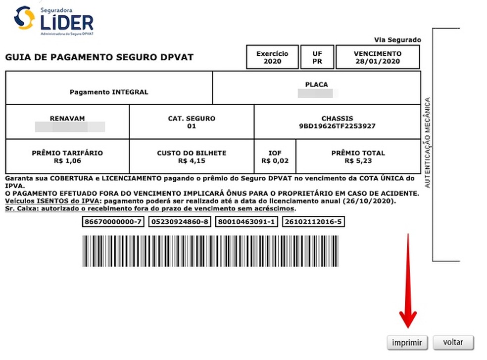 Imprimindo boleto do DPVAT 2020 — Foto: Reprodução/Helito Beggiora