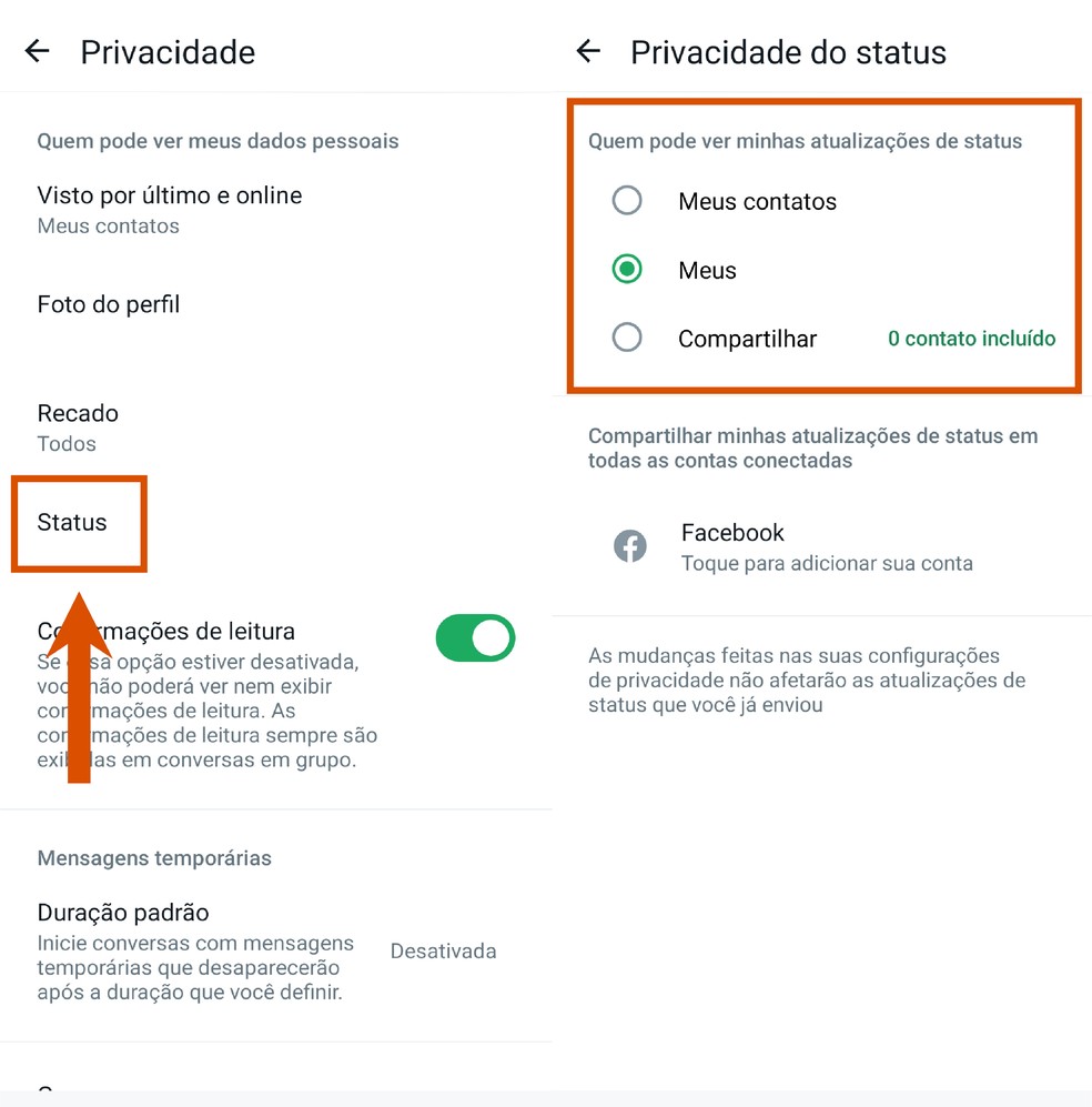 Defina quem pode visualizar seu status para aumentar sua segurança — Foto: Reprodução/Paola Mansur