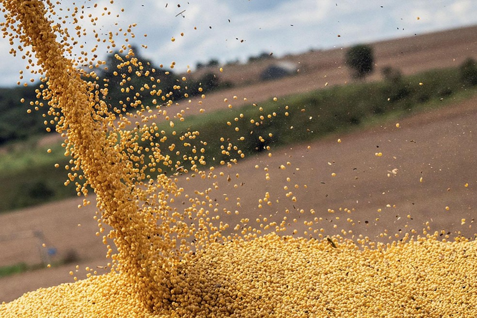 Produção de soja pode chegar a 163 milhões de toneladas na próxima safra — Foto: Wenderson Araujo/Divulgação