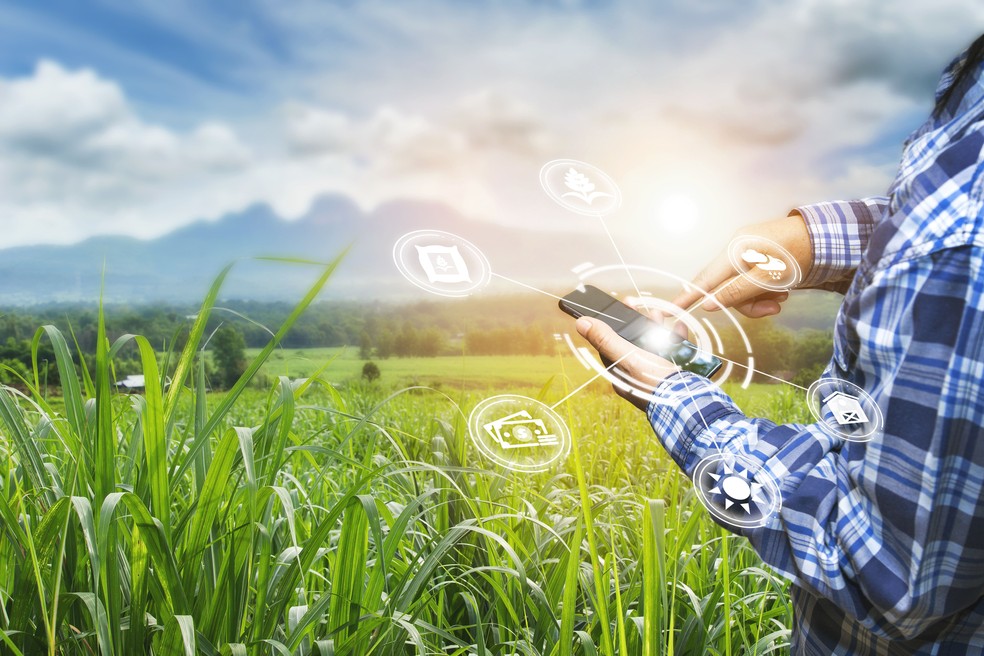 Mais de 70% da colheita da cana-de-açúcar brasileira já é realizada utilizando Internet das Coisas (IoT) — Foto: Getty Images