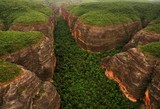 Remanescente florestal é alvo de conflitos no Piauí