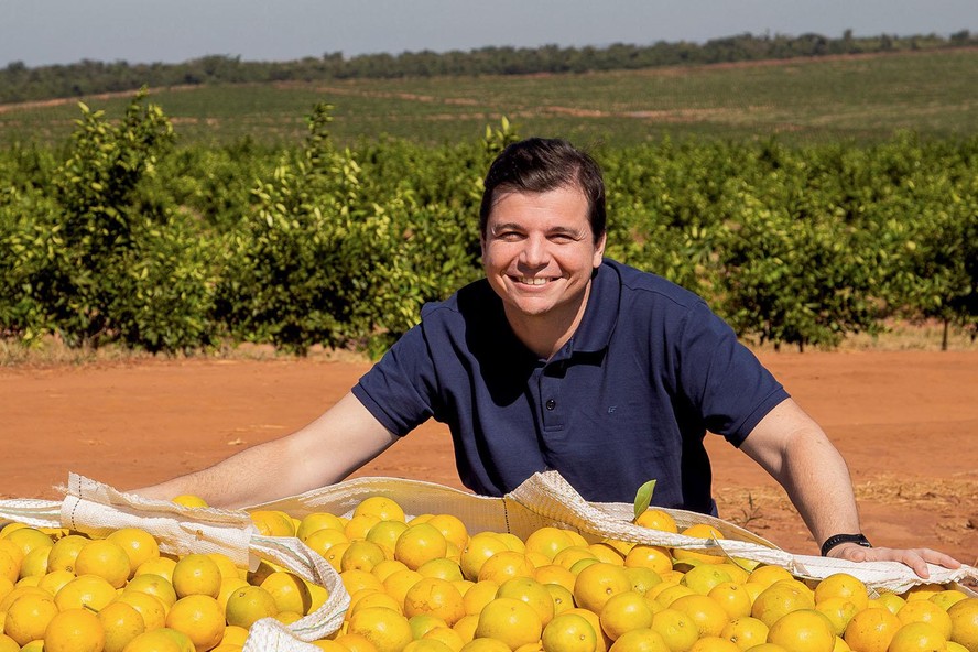 Tomas Balistiero, da Citrosuco: com informações refinadas e utilizadas em tempo real, foi possível detectar períodos mais apropriados para a colheita