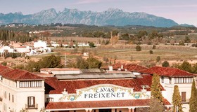 Um tour pela vinícola da Freixenet, na Espanha