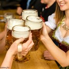 Veja onde celebrar a Oktoberfest (Kzenon/Shutterstock)