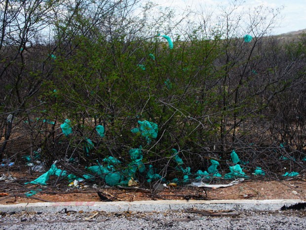 Sacos de lixo se prendem a arbustos em perto de Salgueiro (PE)