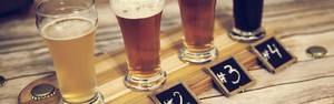 Conheça as grandes escolas cervejeiras do mundo (Shutterstock)