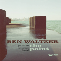 Ben Waltzer: The Point