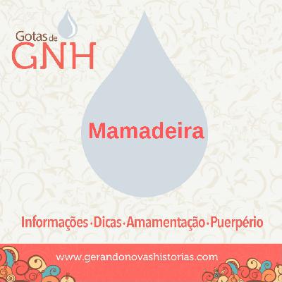 Gota #3 – Mamadeira