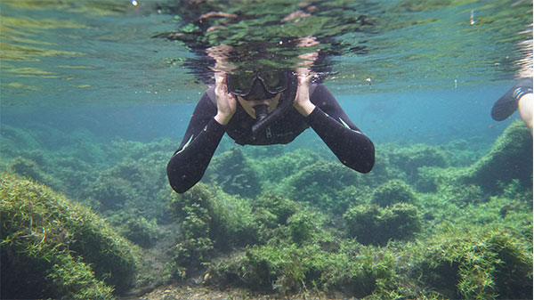 Foto de mergulhadora com fundo de algas e vegetação.