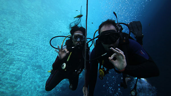 Aprensentadores fazendo o símbolo ok para em baixo do mar mergulhando.