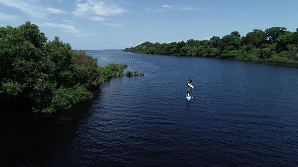 Foto do Rio Negro, cercado por vegetação e quatro pessoas praticando standup paddle
