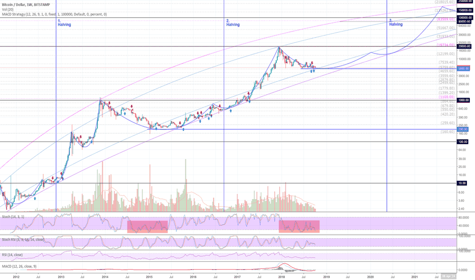 BTCUSD (1W) LOG: Why is it right to buy and hold Bitcoins?