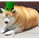 Chonky_