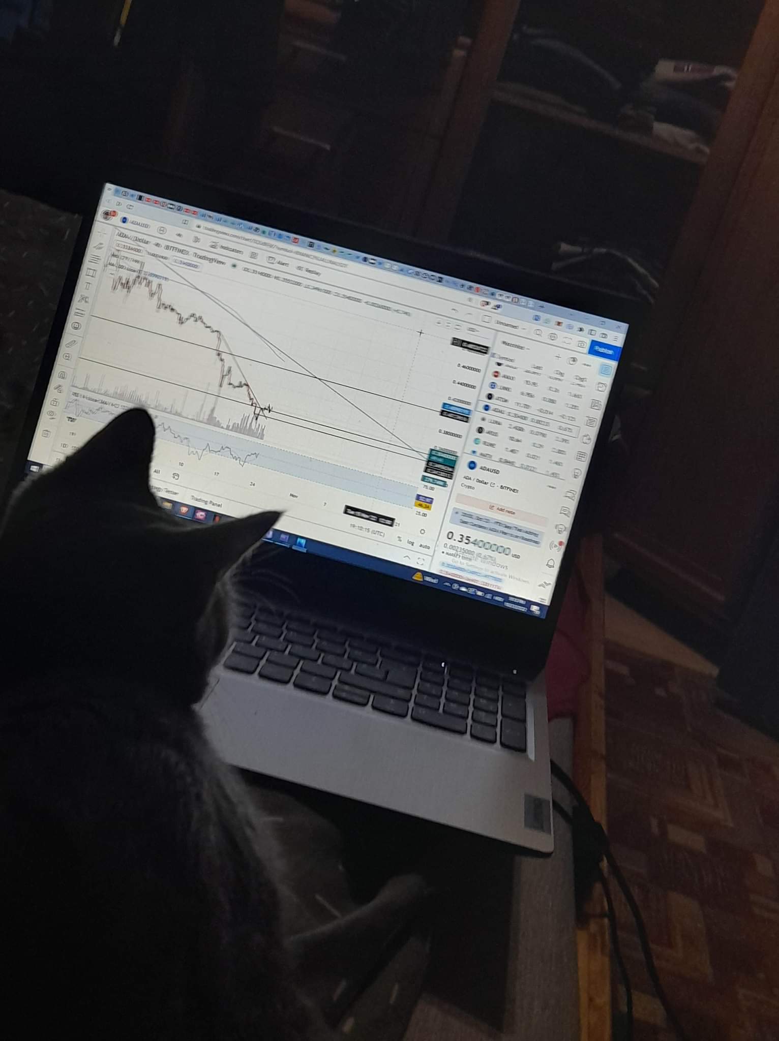 Gráfico de TradingView en @Kameleon de Instagram