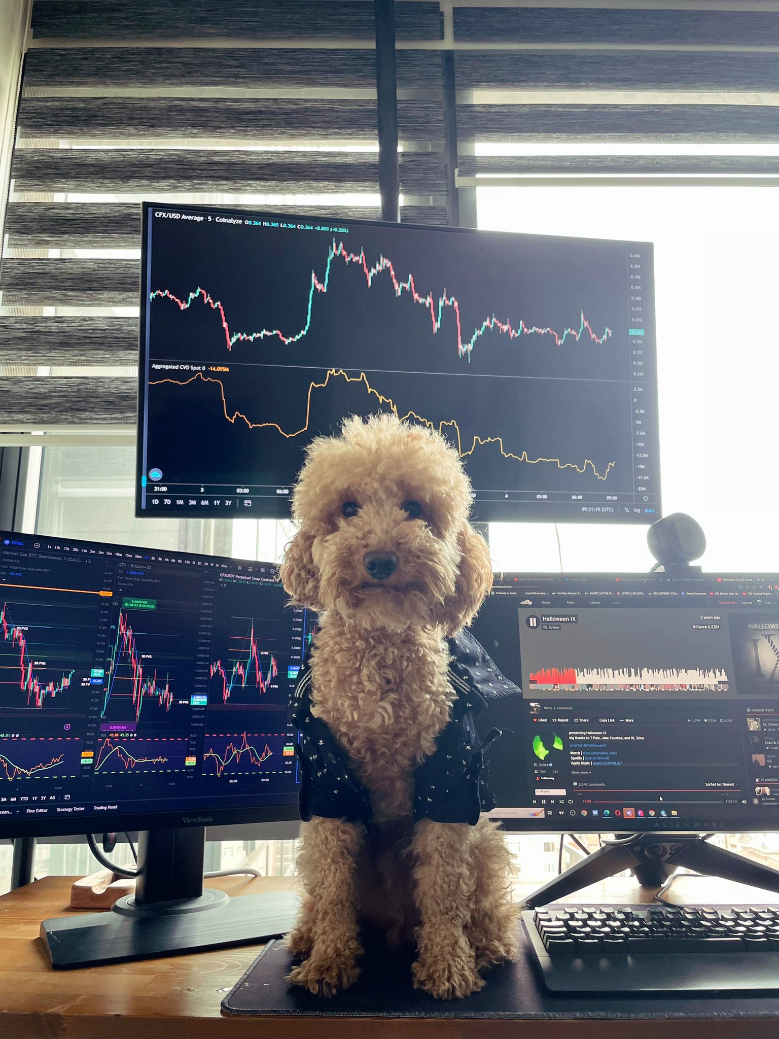 ชาร์ต TradingView บน Instagram @Fatih Esin