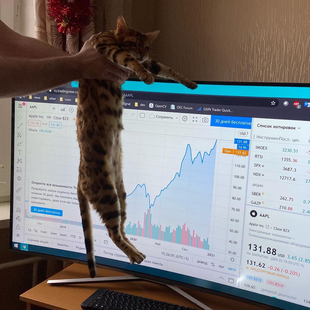 رسم بياني من TradingView على حساب إنستغرام @_catrin_de_vil_