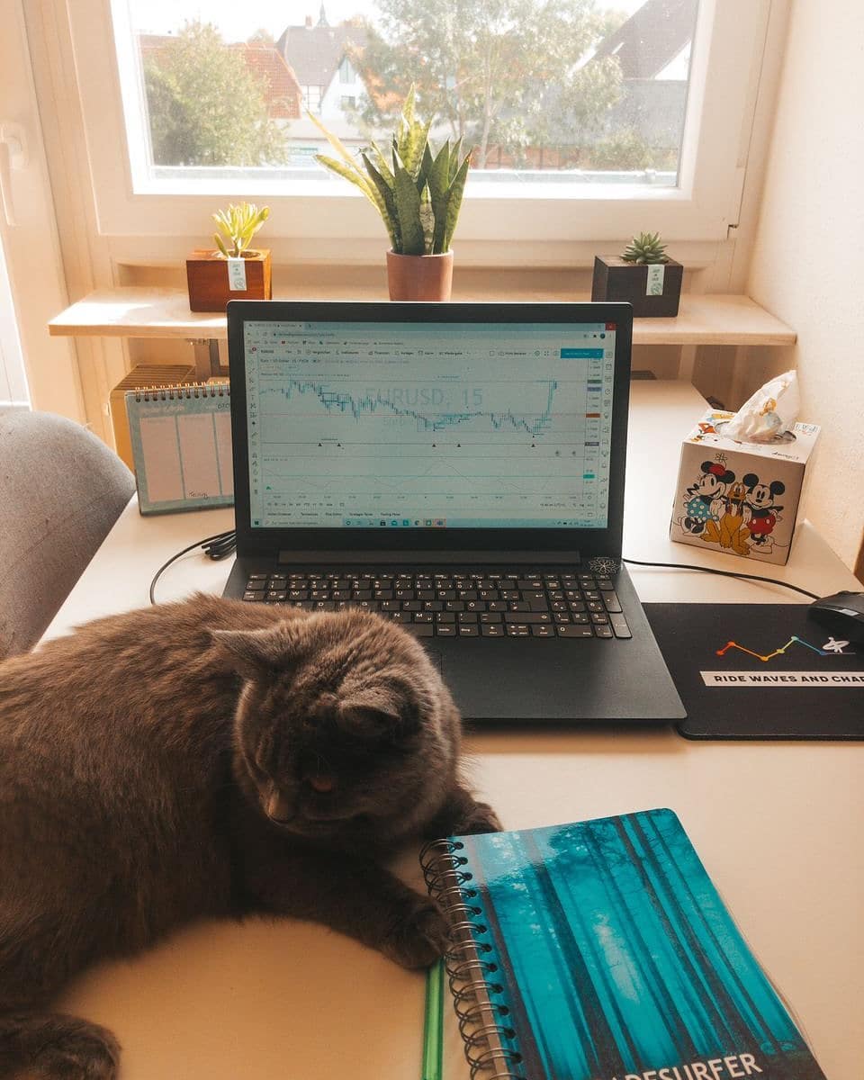 Gráfico de TradingView en @trade_surfer de Instagram