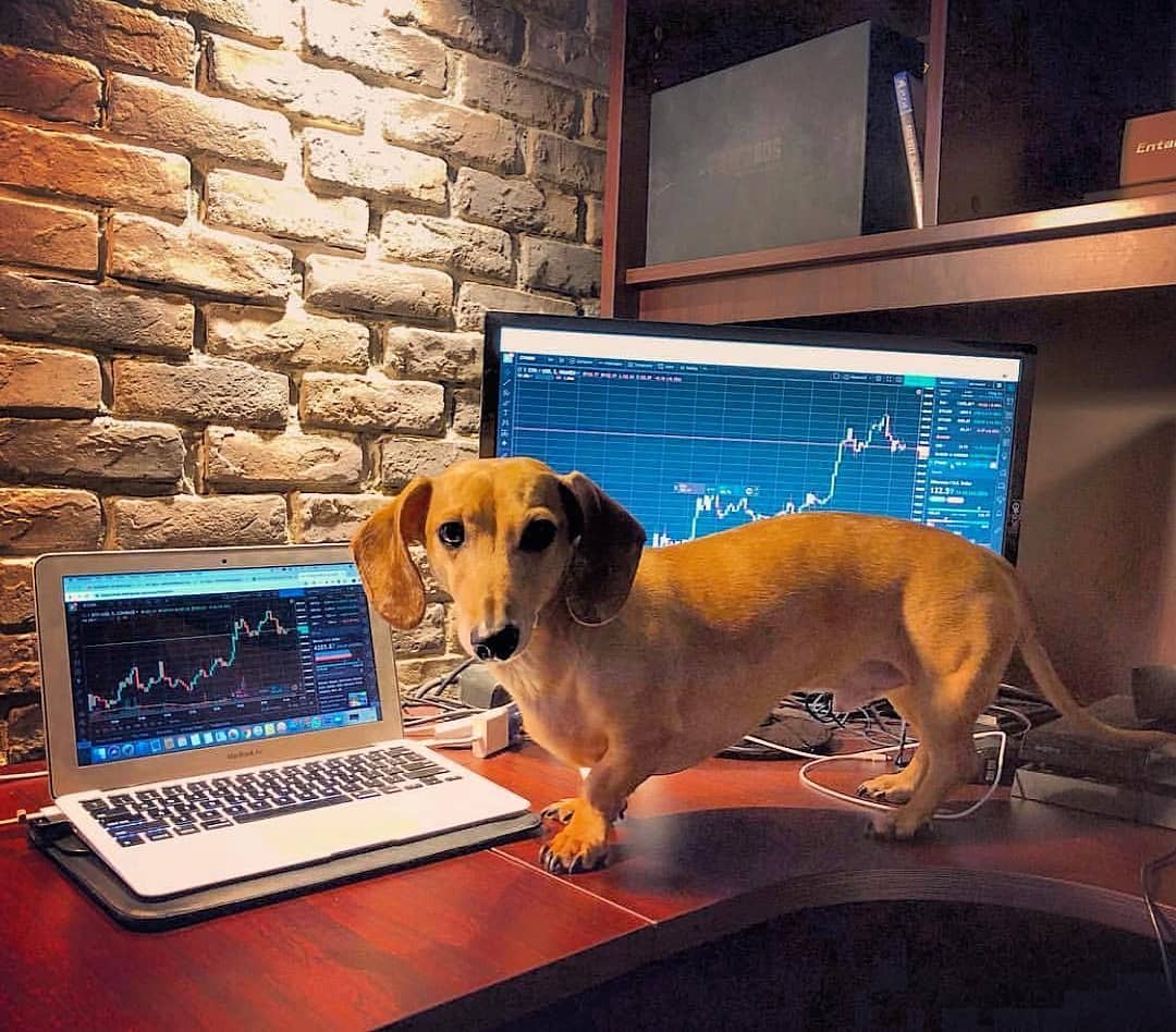 رسم بياني من TradingView على حساب إنستغرام @mytradingsetup