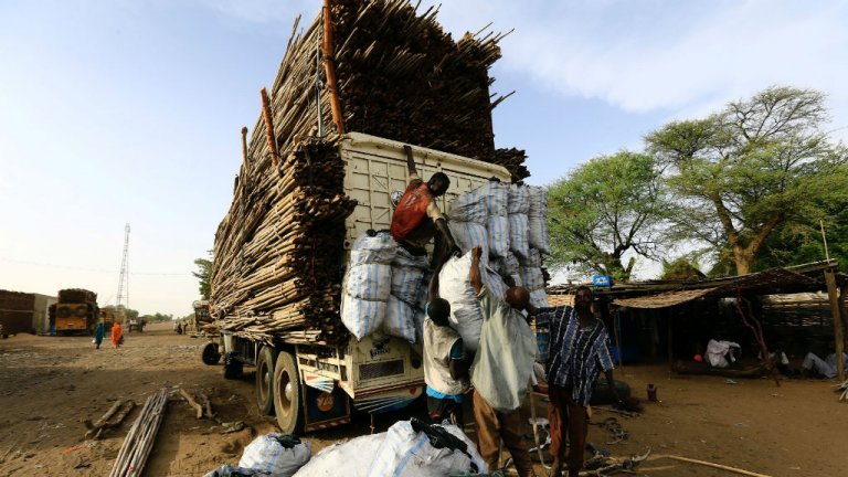 African workers transporting timber from the Central African Republic to Sudan / Credit: Reuters
