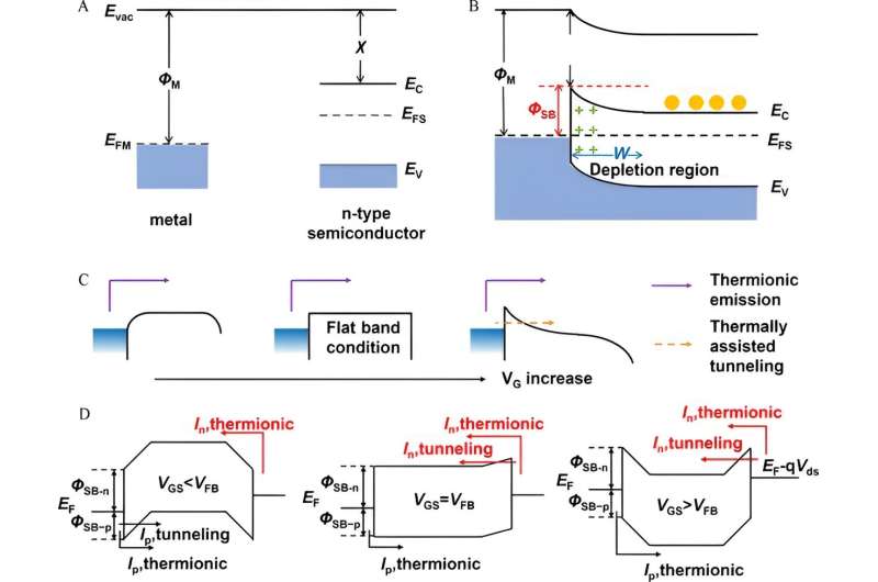 Fundamental and photodetector application of Van Der Waals Schottky Junctions