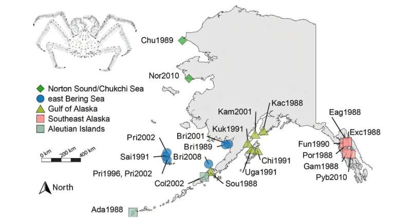 Genetic diversity in Alaska red king crab may provide climate change resilience