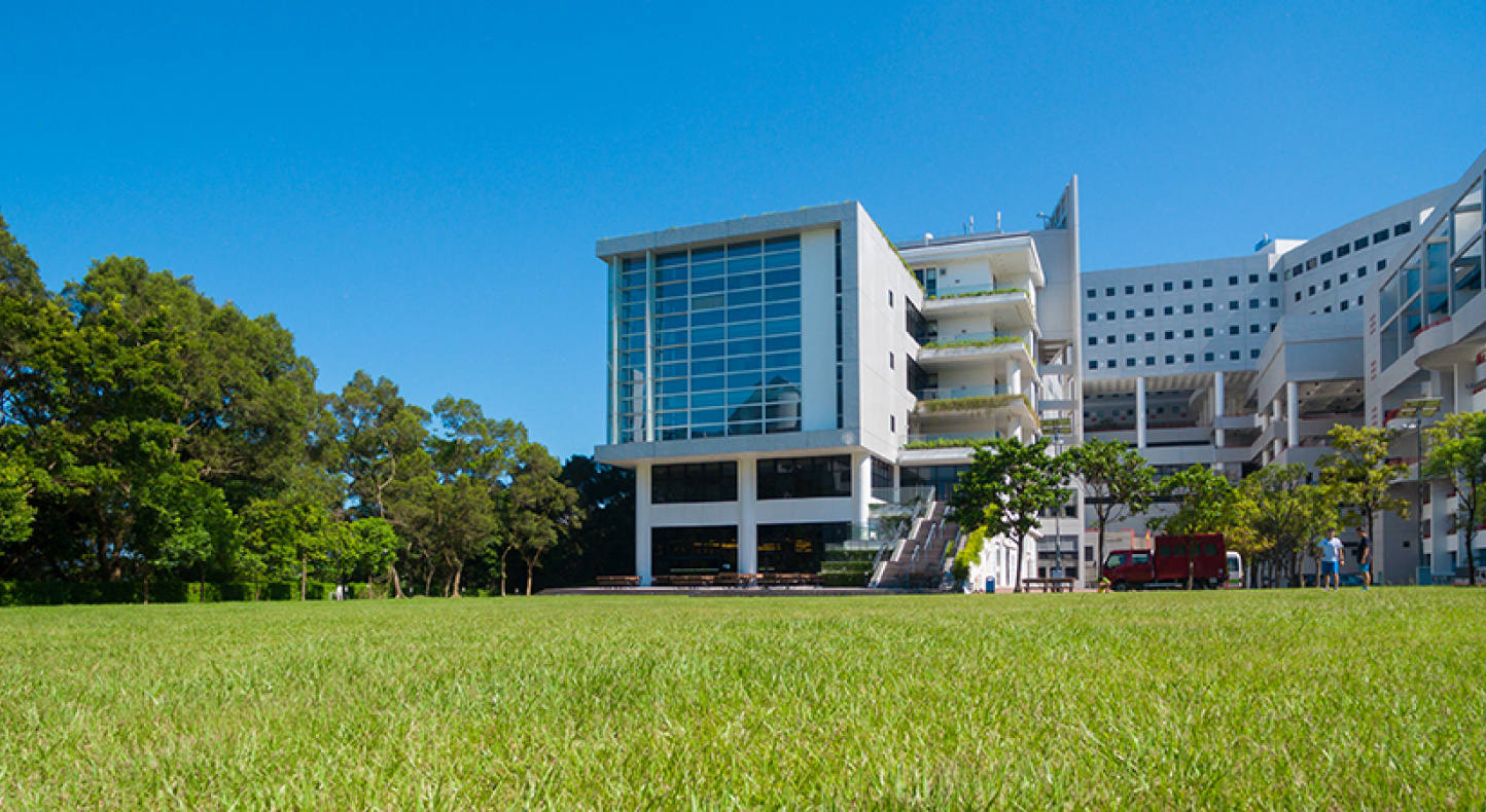 View of LG7's outdoor lawn area