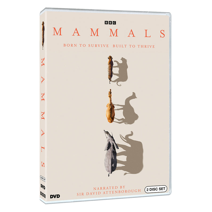 Mammals