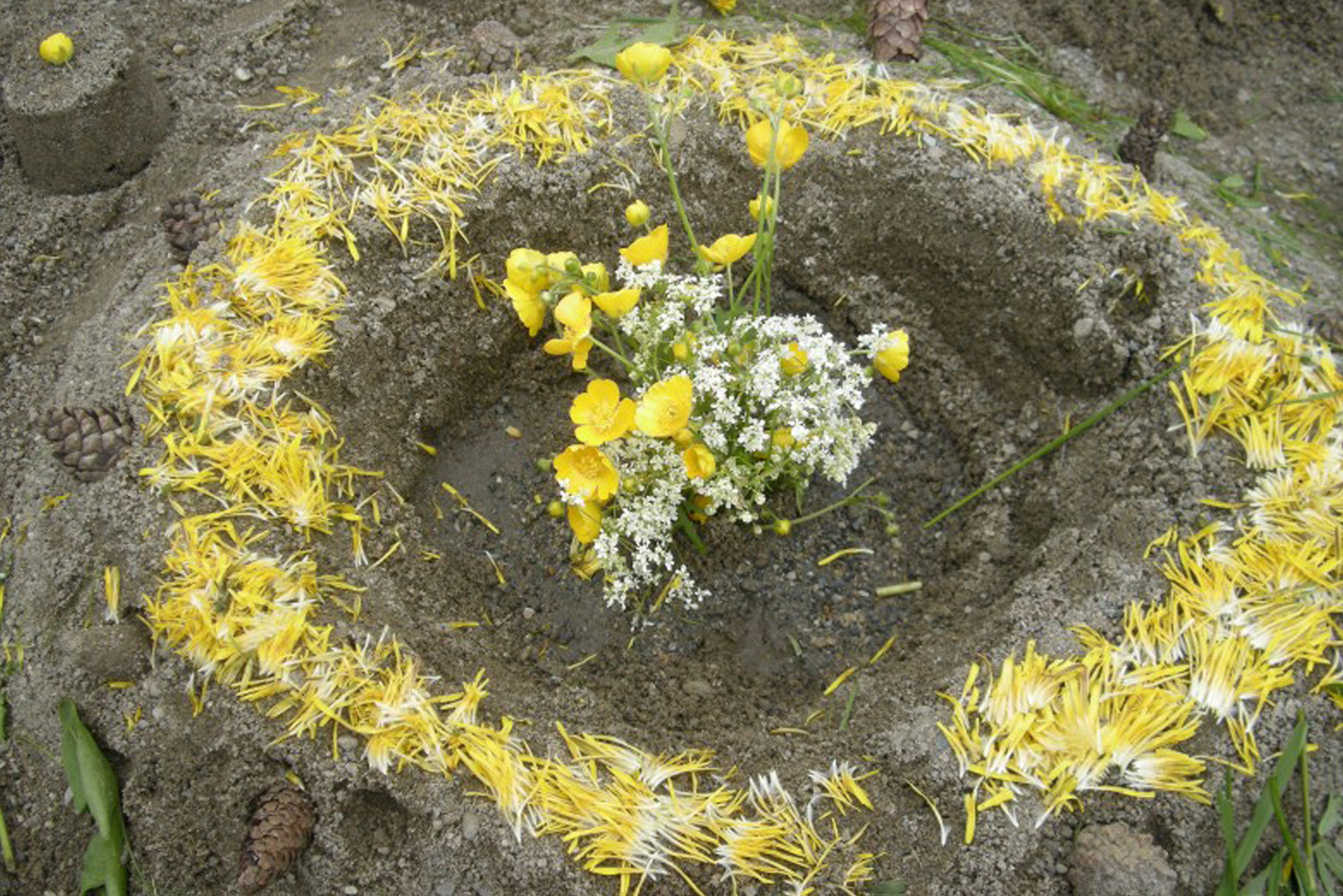 Illustrasjonsbilde av sand- og løvetannkake-