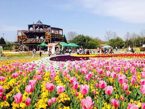 国営備北丘陵公園