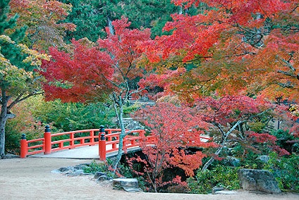 紅葉谷公園