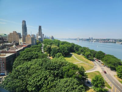 Planting Some Tree Species May Worsen, Not Improve, NYC Air, Says New Study