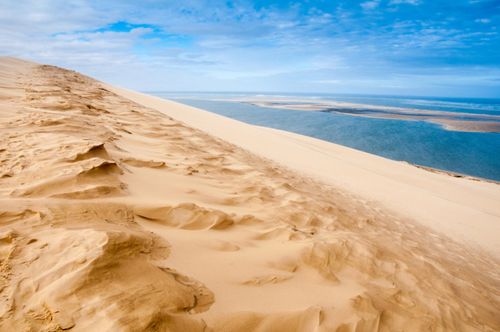 Aquitaine - Bordelais, Landes