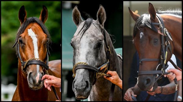 SLIDESHOW: Meet the Contenders for the 2024 Belmont Stakes