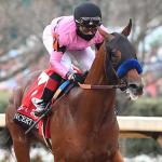 Preakness Quick Sheet: Get to Know the 2021 Preakness Horses