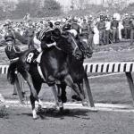 Majestic Prince: A Racehorse Who Lived Up to His Name