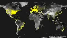 World map of internet penetration