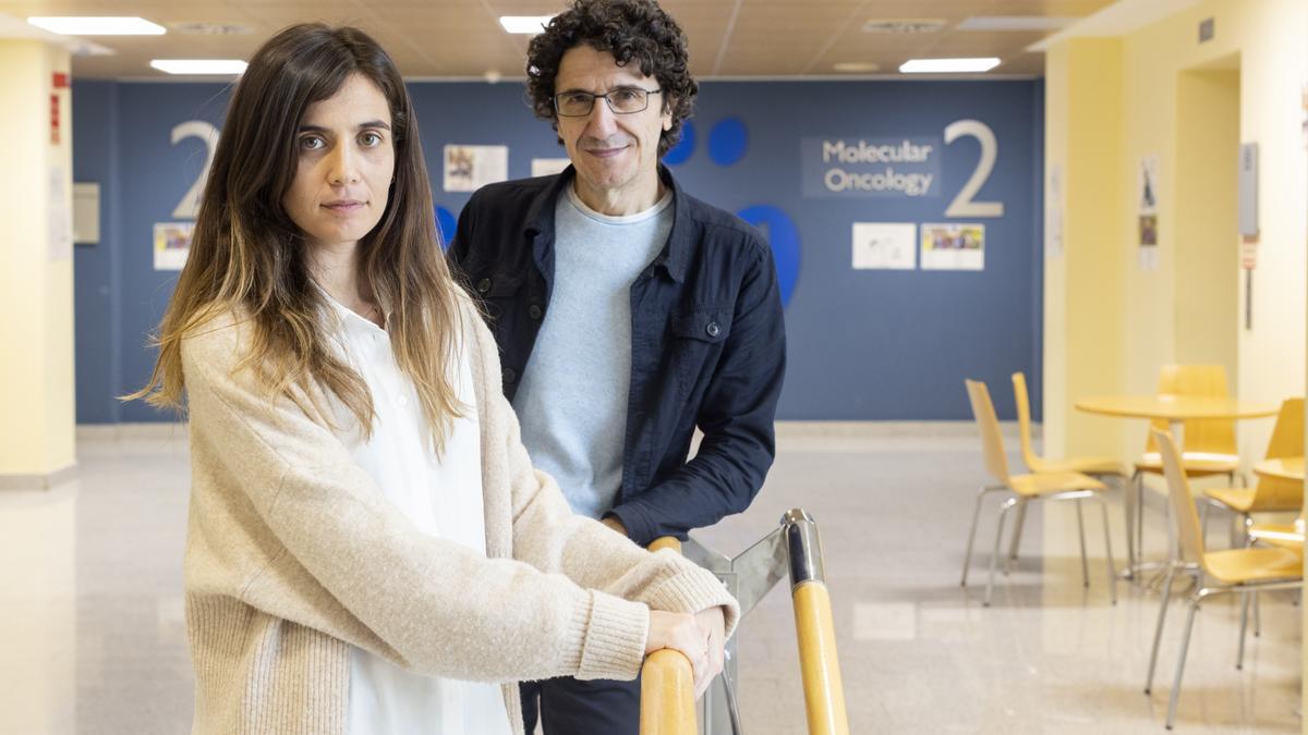 Carolina Villarroya-Beltri y Marcos Malumbres, investigadores del CNIO